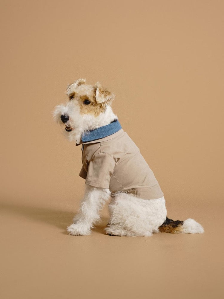 Pet Layered Trench Coat with Denim: British Style Cat Dog Jacket