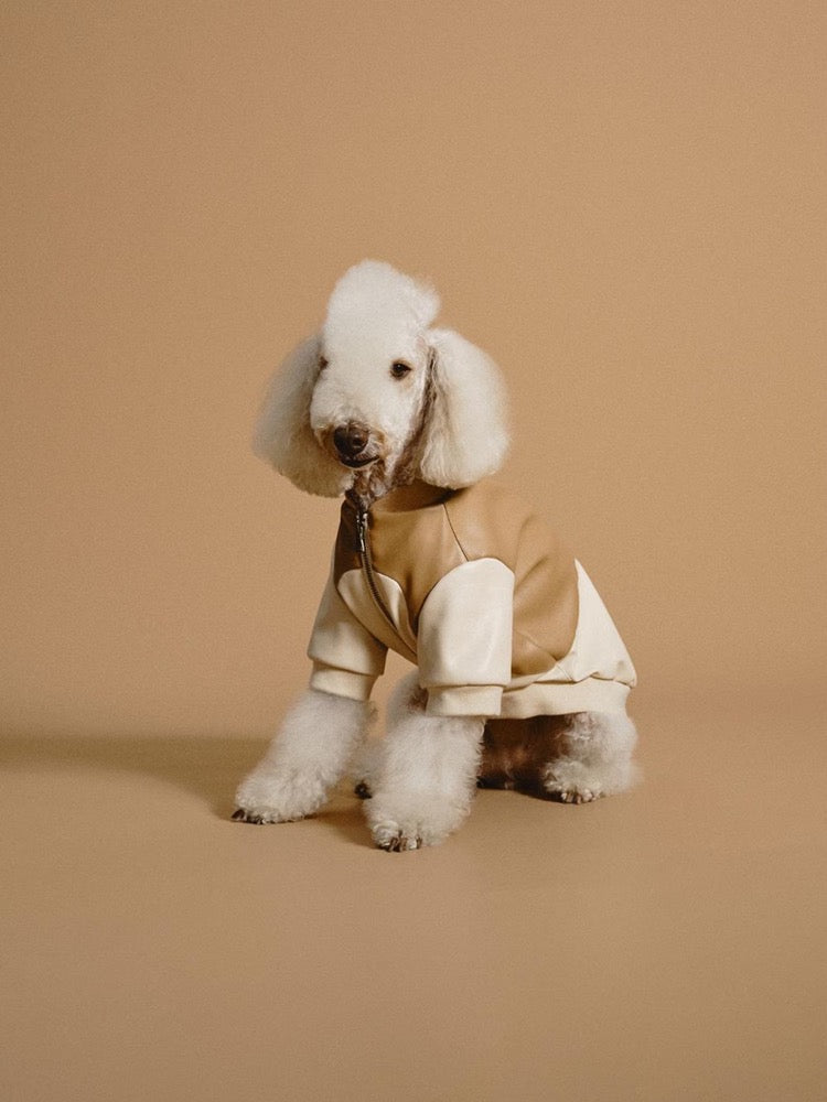 Patchwork Pet Bomber Jacket: Luxury Faux Leather Dog Cat Clothes