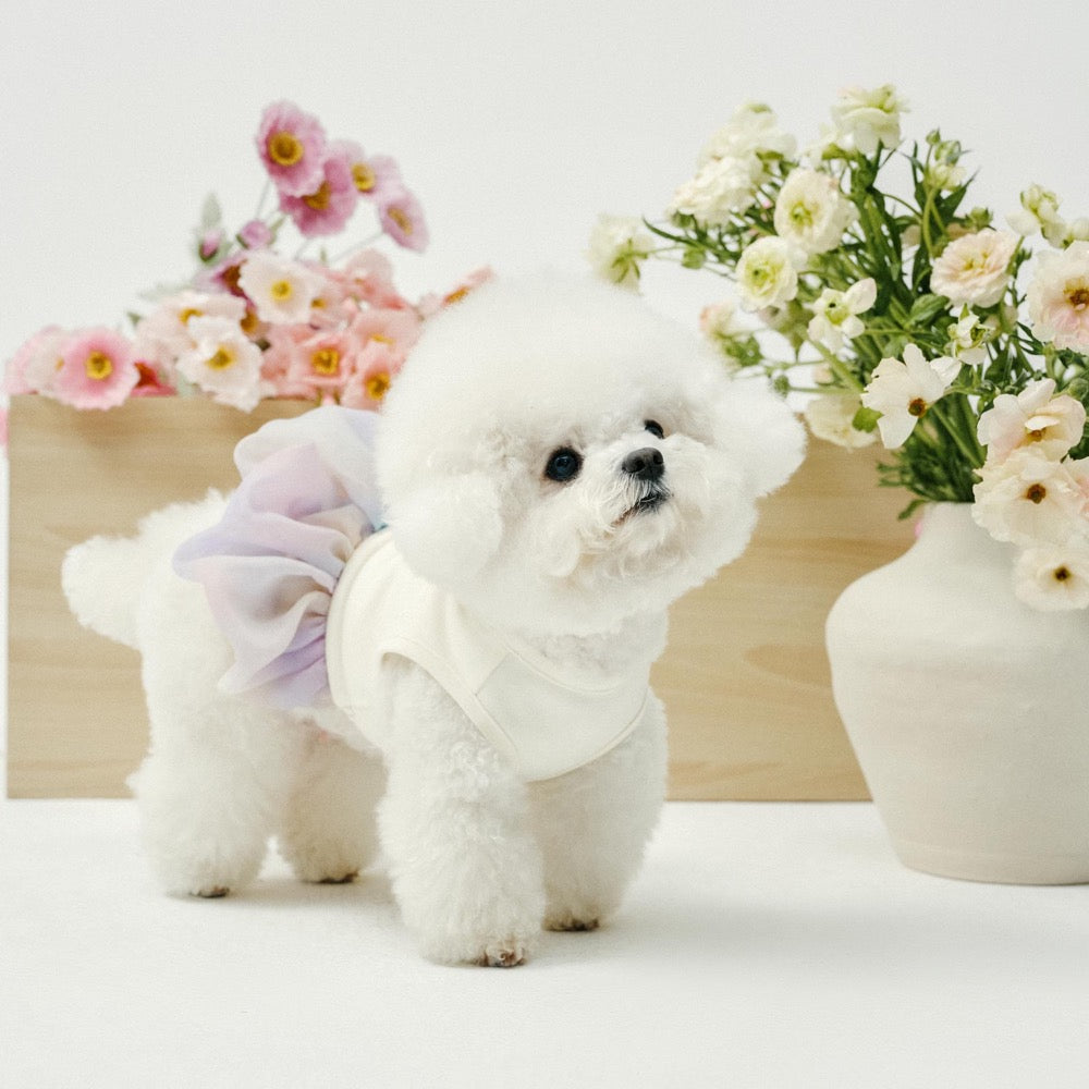 Monet Tulle Pet Bubble Dress: Cat Dog Spring Summer Top