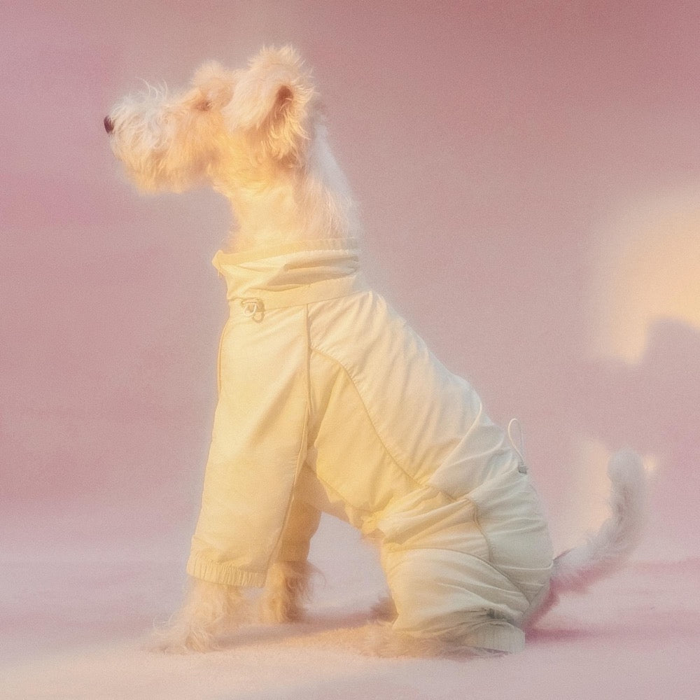 Motion Outdoor Pet UV-Protective & Insect-Proof Jacket: Cat Dog Spring Summer Jacket