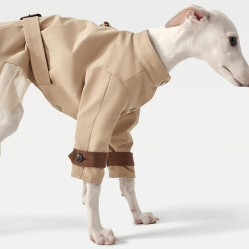 Classic Tulle Pet Trench Coat Dress: Cat Dog Elegant Wear