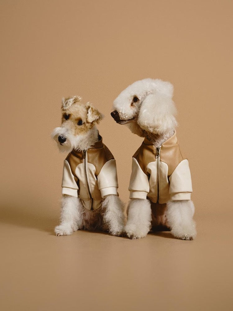 Patchwork Pet Bomber Jacket: Luxury Faux Leather Dog Cat Clothes