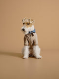 Pet Layered Trench Coat with Denim: British Style Cat Dog Jacket
