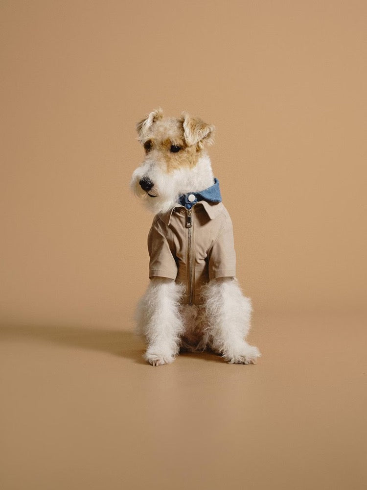 Pet Layered Trench Coat with Denim: British Style Cat Dog Jacket