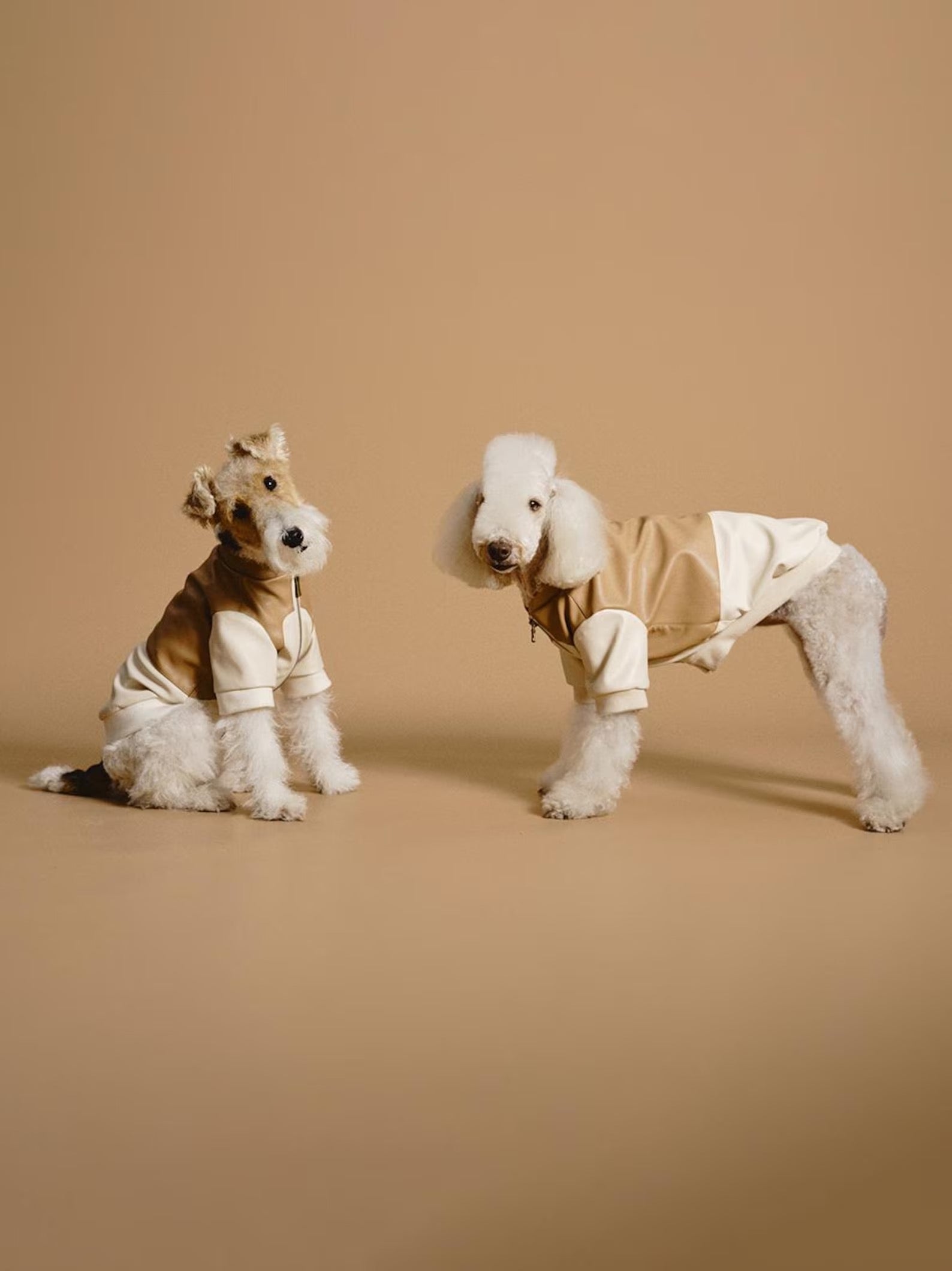 Patchwork Pet Bomber Jacket: Luxury Faux Leather Dog Cat Clothes