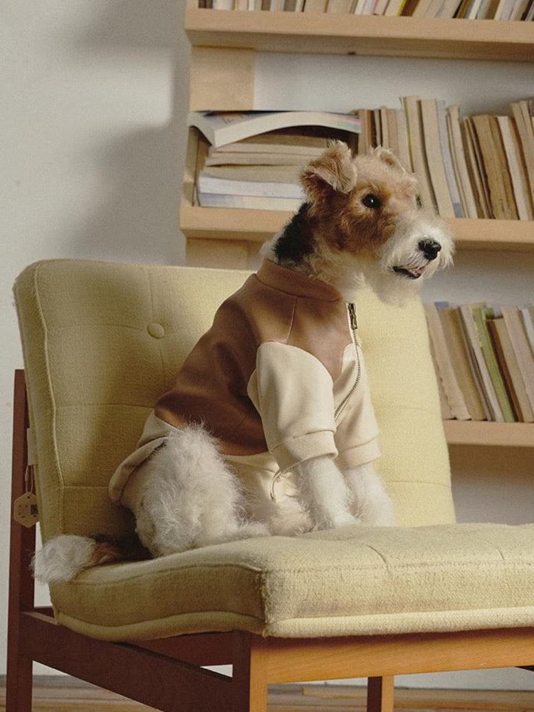 Patchwork Pet Bomber Jacket: Luxury Faux Leather Dog Cat Clothes
