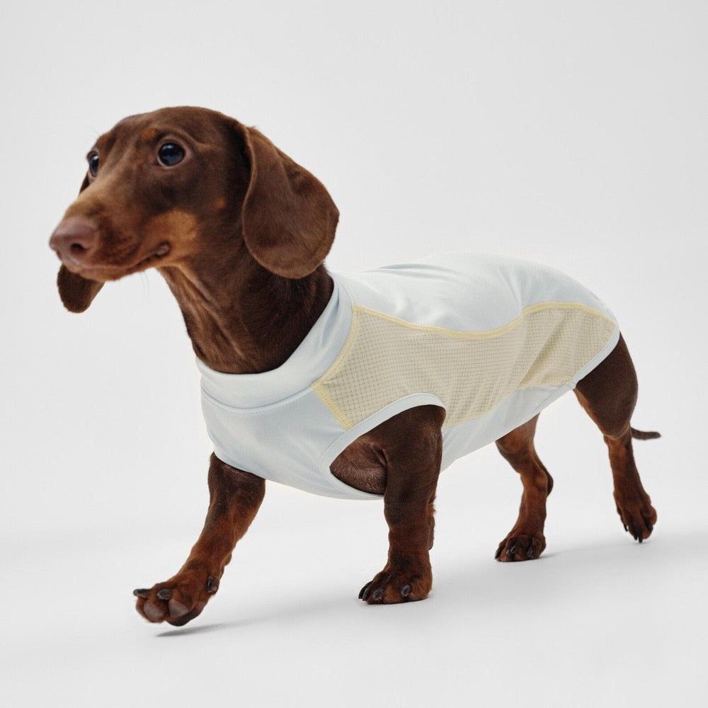 Motion Patchwork Pet UPF100+ Cooling Vest: Cat Dog Spring Summer Top