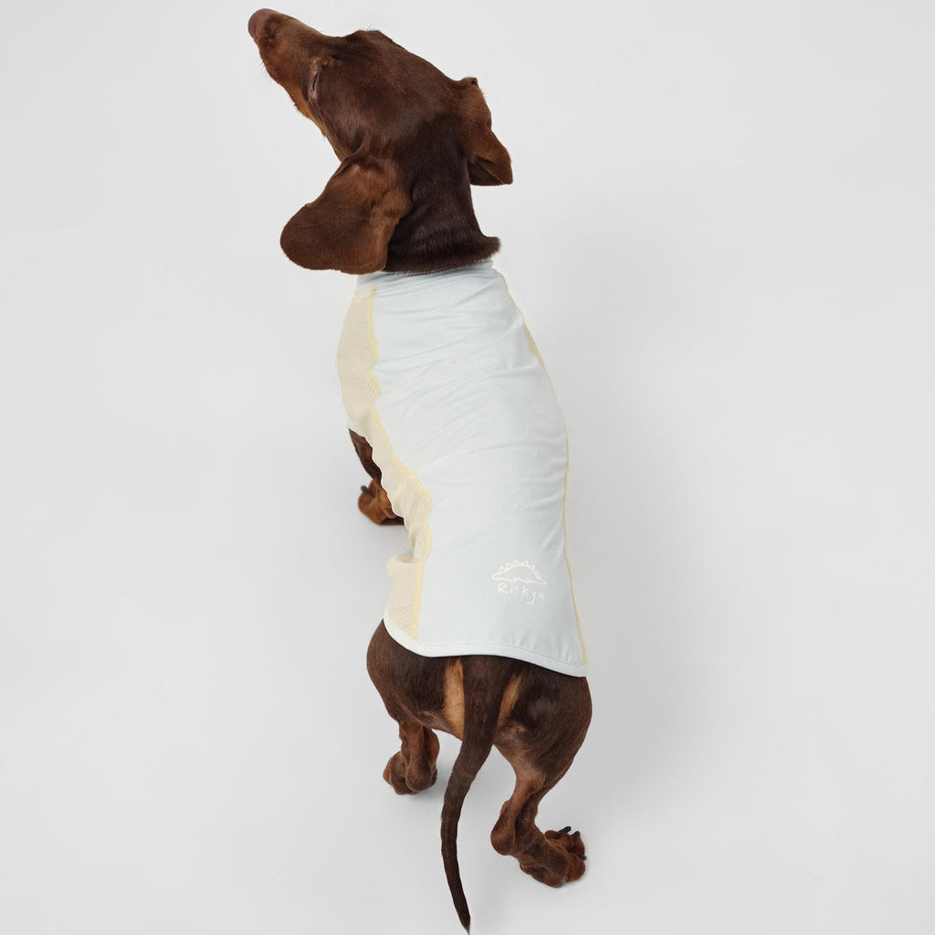 Motion Patchwork Pet UPF100+ Cooling Vest: Cat Dog Spring Summer Top