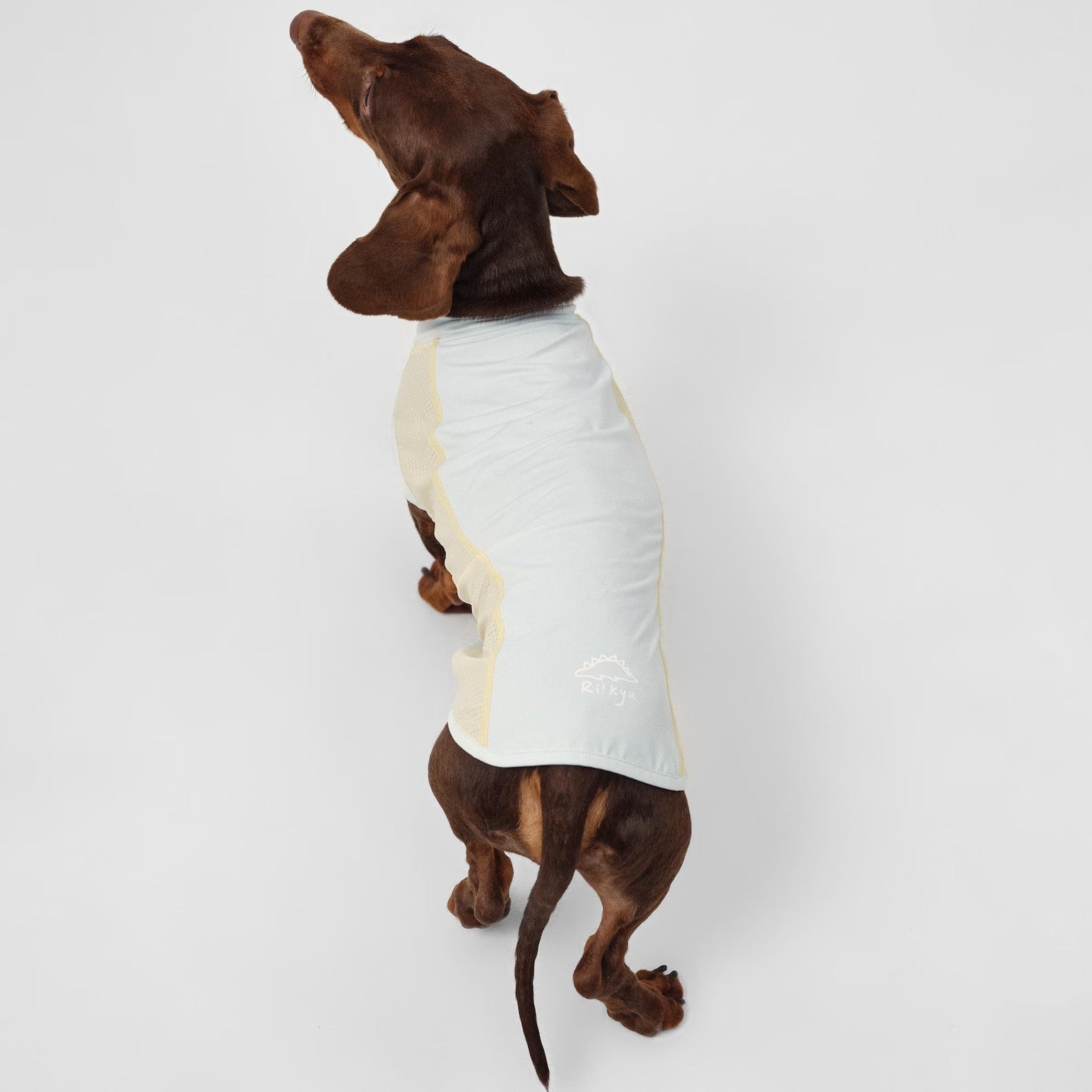 Motion Patchwork Pet UPF100+ Cooling Vest: Cat Dog Spring Summer Top